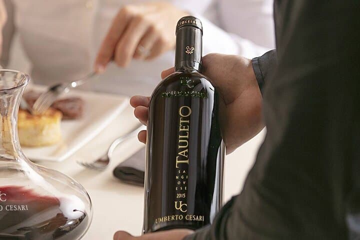 EXPERIENCIA DEL VINO Y DOZZA - Tour Privado de un Día desde Bolonia — foto 5