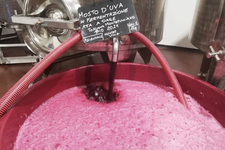 Volterra Organic Wine Experience — Foto 4