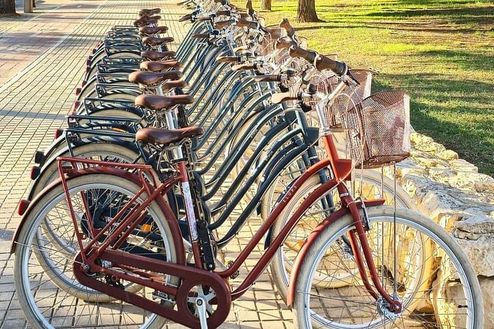 Tour en Bicicleta por los Puntos Clave de Valencia — foto 4