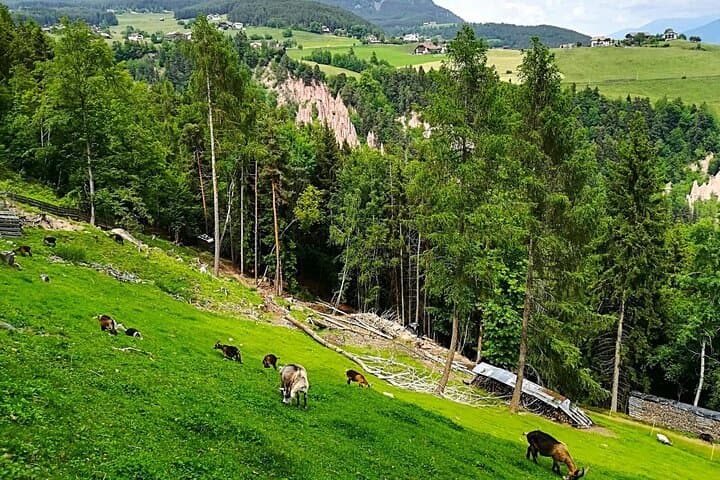 Tour de Bolzano y Renon con Paseo en Tren Panorámico — foto 4