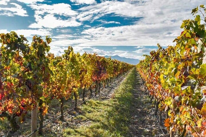 La Rioja Eine Reise durch Weinberge und Tradition — Foto 2
