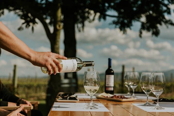 La Rioja Eine Reise durch Weinberge und Tradition — Foto 4