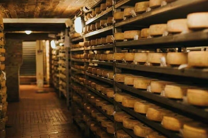 Experiencia de Queso: Tour y Cata en Guffanti cerca del Lago Maggiore