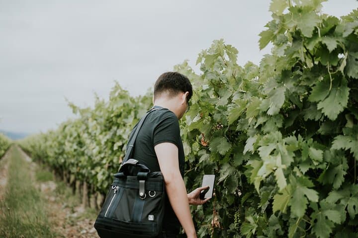 La Rioja Eine Reise durch Weinberge und Tradition — Foto 5