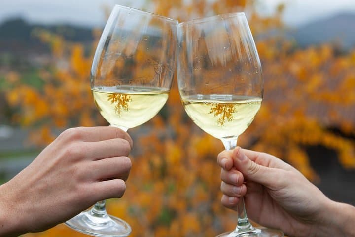 Visite privée de dégustation de vin Txakoli à Getaria depuis Saint-Sébastien