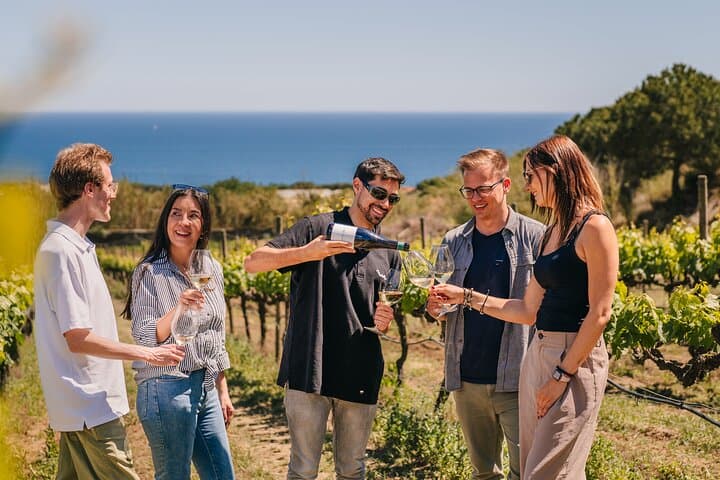 Segeltour und Weinverkostung in kleiner Gruppe ab Barcelona