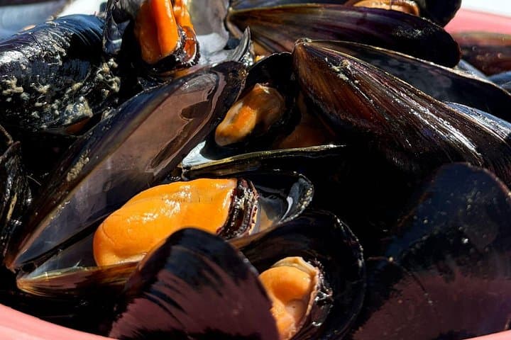 Tour in Catamarano alle Vongole Clóchina a Valencia — foto 3
