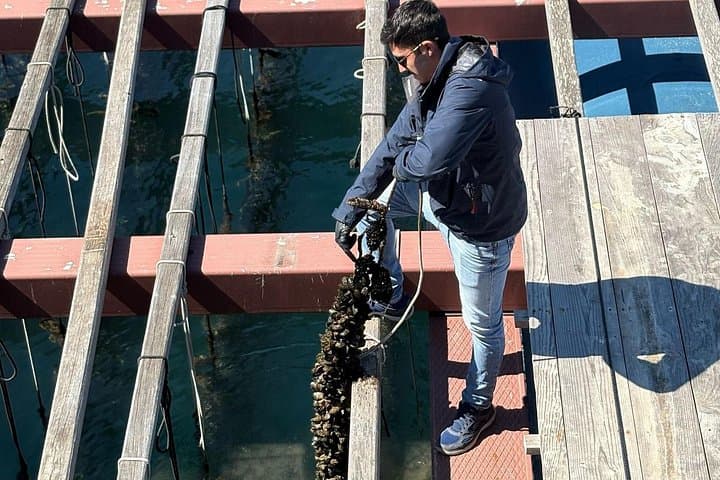 Tour in Catamarano alle Vongole Clóchina a Valencia — foto 4