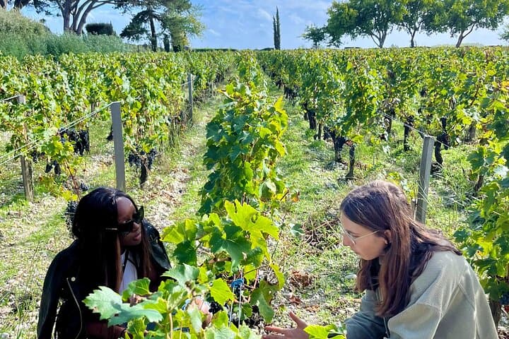 Private Wein Tour in Margaux & dem Médoc — Foto 4