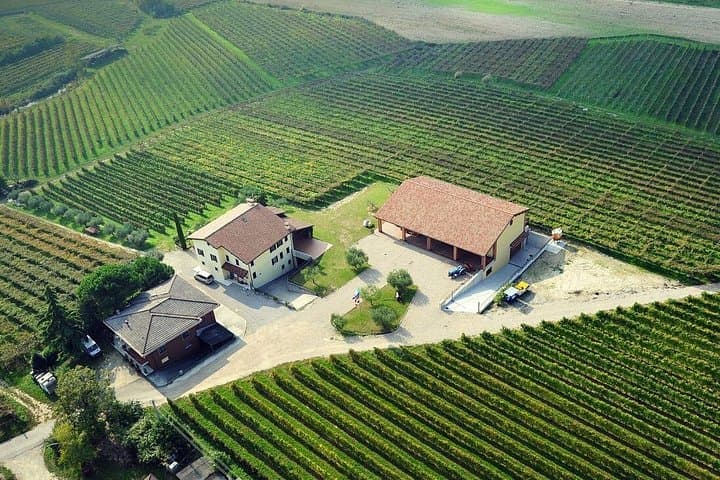 Visite de vignoble et de cave avec dégustation de 5 vins près du lac de Garde — photo 2