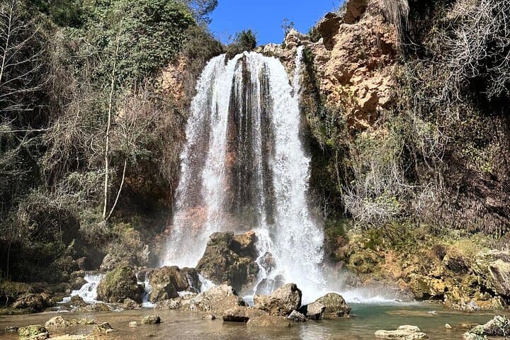 Tour della Natura a Valencia — foto 2