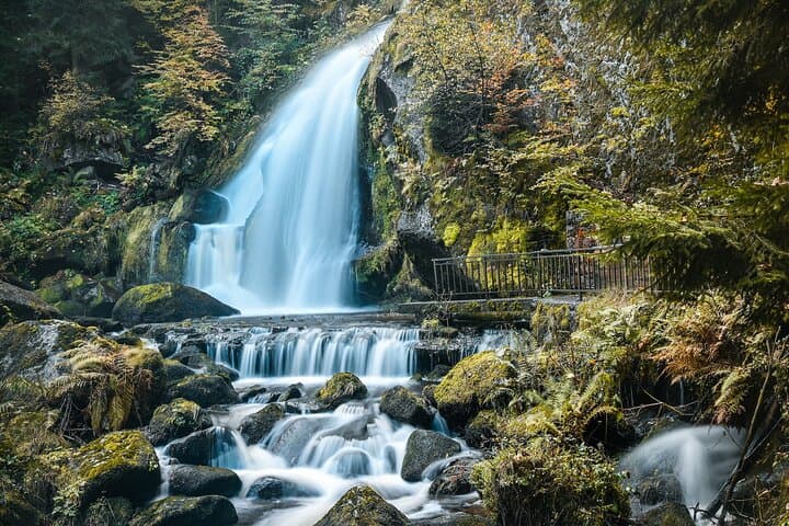 Privater Tagesausflug von Frankfurt in den Schwarzwald und nach Baden-Baden