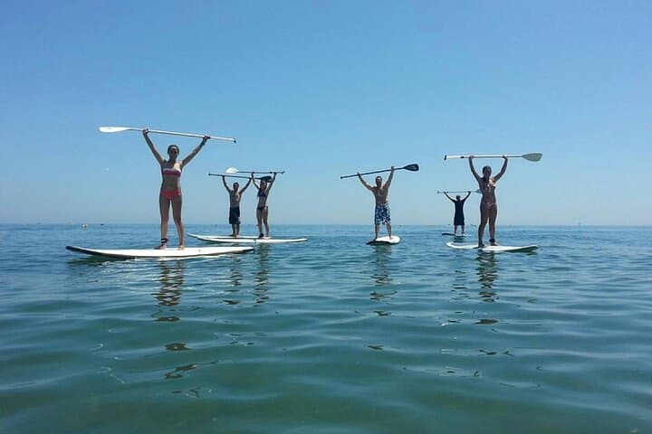 Tour de Stand Up Paddle et Déjeuner Paella à Valence