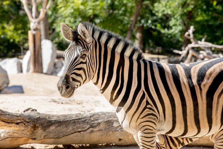 Eintrittskarte für das Zoo Aquarium Madrid — Foto 3