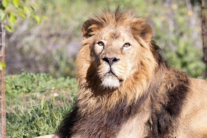Eintrittskarte für das Zoo Aquarium Madrid — Foto 4