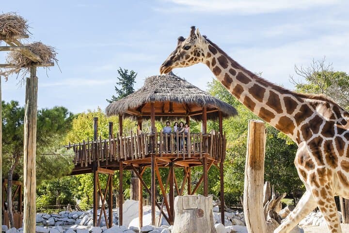 Eintrittskarte für das Zoo Aquarium Madrid — Foto 5