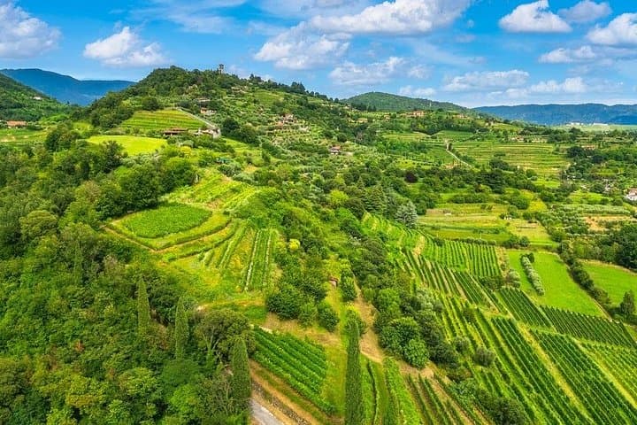 Franciacorta Weinverkostungstour von Mailand mit Kreuzfahrt auf dem Iseosee — Foto 2