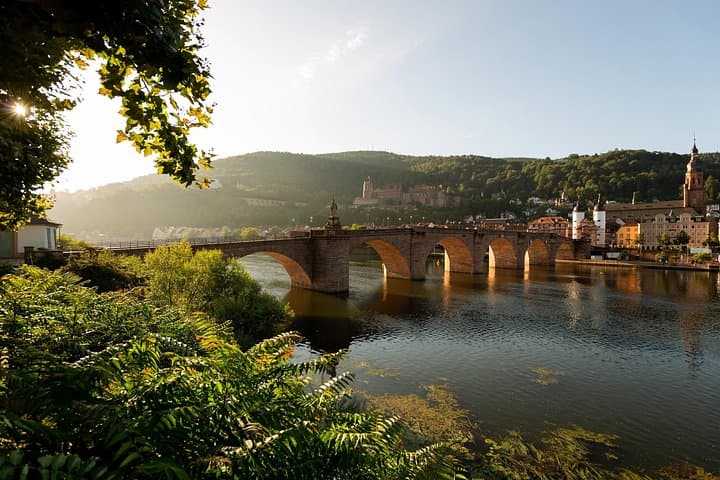 Privater Tagesausflug von Frankfurt nach Heidelberg — Foto 5