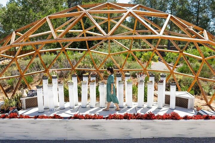 Biglietto per BiBo Park Ibiza Biotech Botanico — foto 2