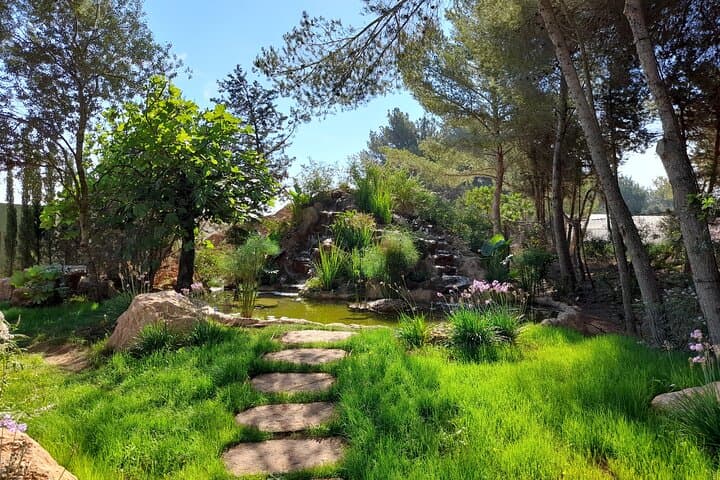 Biglietto per BiBo Park Ibiza Biotech Botanico — foto 3