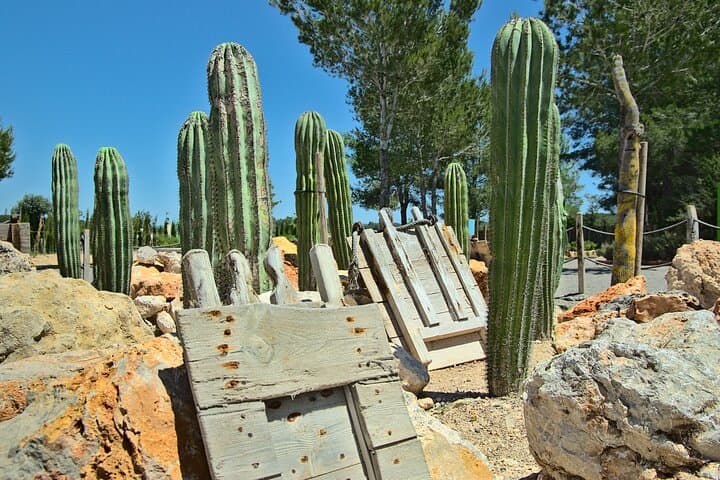 Biglietto per BiBo Park Ibiza Biotech Botanico — foto 4