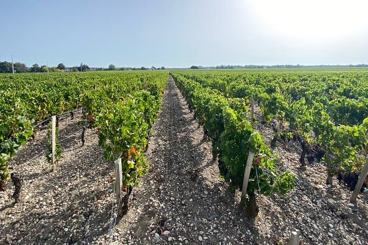 Weinprobe in der Burg und im Dorf Saint Emilion — Foto 3