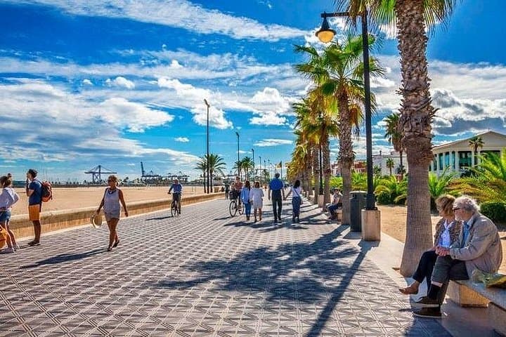 Tour in Bici dei Punti Salienti di Valencia per Passeggeri delle Crociere — foto 3