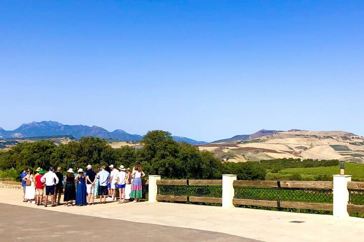Degustazione di Vini con Tapas in un Vigneto Panoramico — foto 4