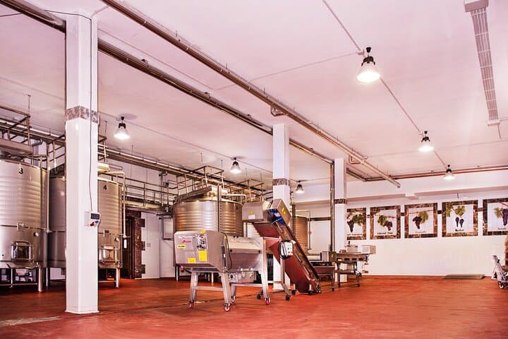 Degustazione di Vini con Tapas in un Vigneto Panoramico — foto 5
