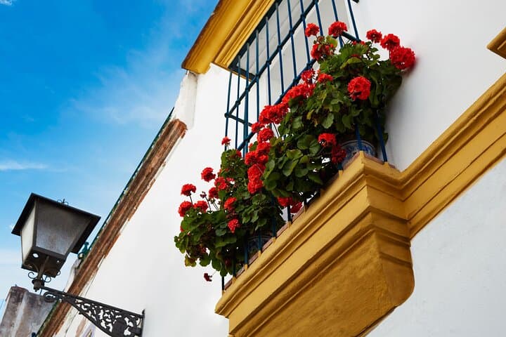 Tour guiado de 7 días en Sevilla, Granada y Barcelona desde Madrid — foto 5