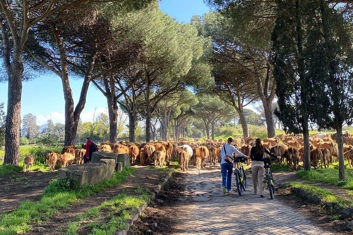 Roma: Tour in E-bike lungo la Via Appia con Catacombe e Acquedotti