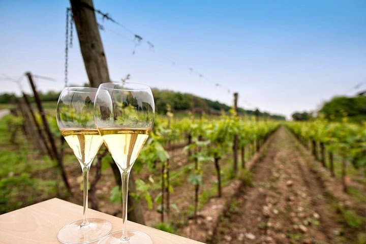 Franciacorta Weinverkostungstour von Mailand mit Kreuzfahrt auf dem Iseosee