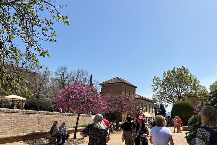 Visite Guidée des Environs de l'Alhambra — photo 4