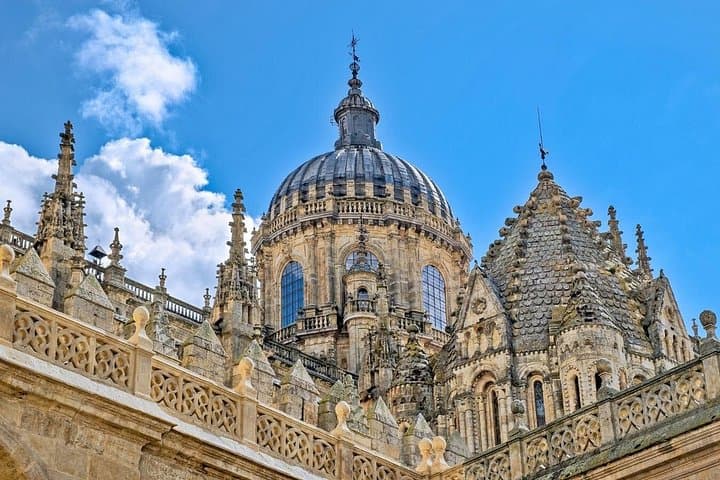 Tour di Lusso a Salamanca e Prosciutto Iberico da Madrid — foto 3