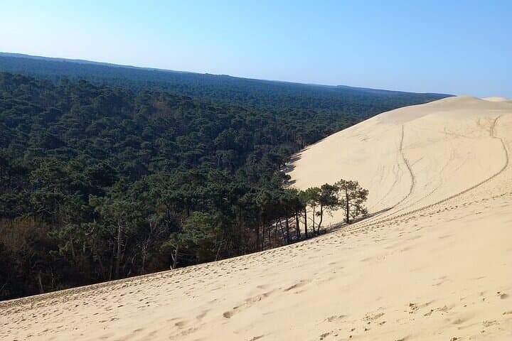 Duna de Pilat, Ostras y Arcachón — foto 4