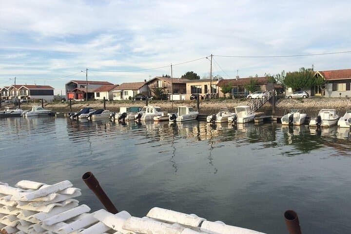 Duna de Pilat, Ostras y Arcachón — foto 5