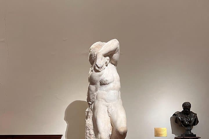 Firenze: Biglietto d'ingresso con orario per il David di Michelangelo — foto 3