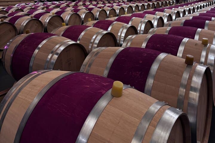 Weintour durch den Médoc: Châteaux, Verkostungen und WSET-Guide — Foto 2
