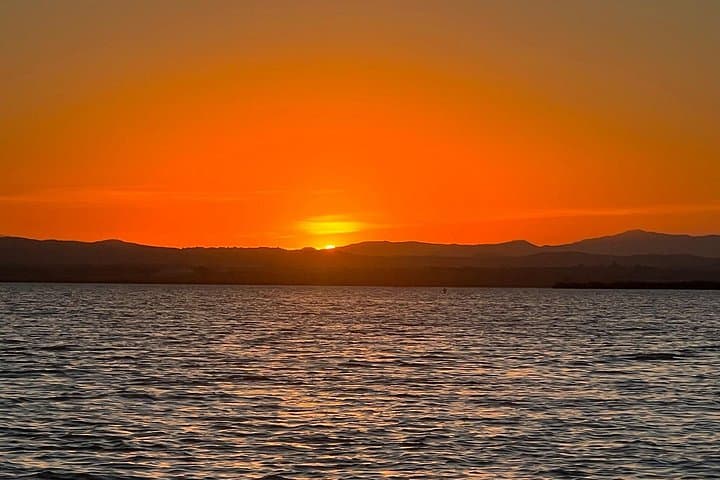 Balade en bateau sur l'Albufera avec coucher de soleil et paella depuis Valence — photo 5