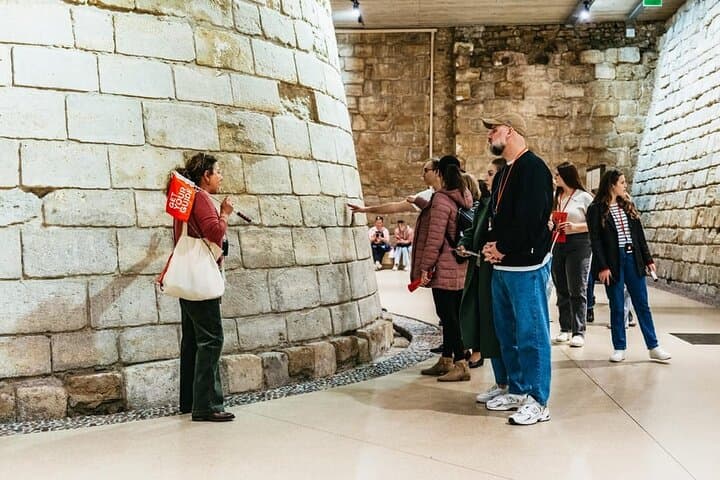 Tour del Museo del Louvre con la Gioconda a Parigi — foto 5