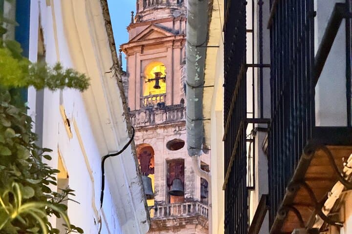 Trasferimento Privato da Siviglia a Granada con Sosta a Cordoba — foto 4