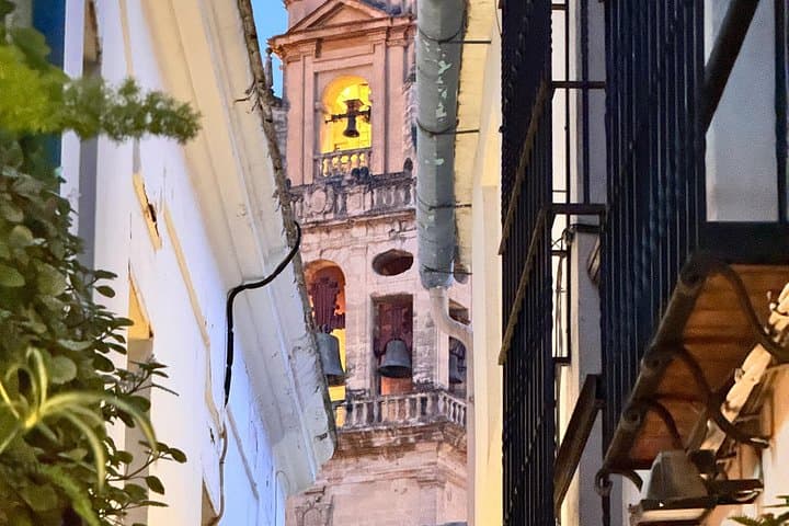 Trasferimento Privato da Granada a Siviglia via Cordoba — foto 5