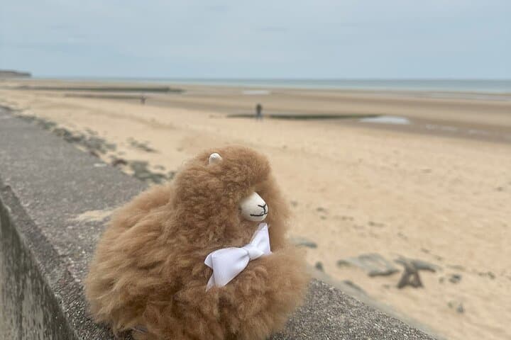 Tour di Mont Saint Michel e D-Day in piccoli gruppi — foto 2
