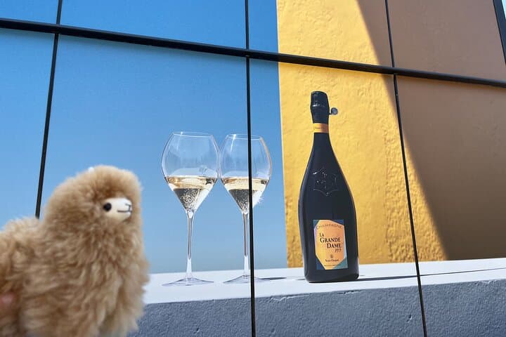 Excursion d'une journée en petit groupe dans les maisons de Champagne Moët & Veuve Clicquot — photo 2