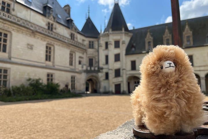 Kleine Gruppen 3 Loire-Tal Schlösser & Weinprobe Geführte Tour — Foto 3