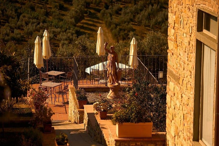 Florenz: Großer Chianti-Wein- und Olivenöl-Weg mit Mittagessen — Foto 5