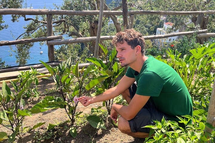 Clase de cocina práctica y tour por una granja en la Costa de Amalfi — foto 5