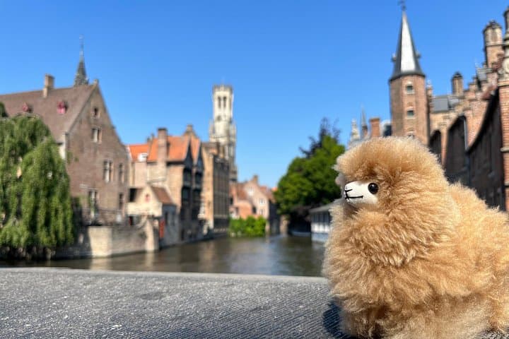 Bruges and Ghent Small Group Tour from Paris with Tastings