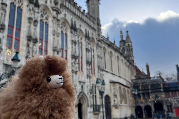 Tour en grupo reducido a Brujas y Gante desde París con degustaciones — foto 5