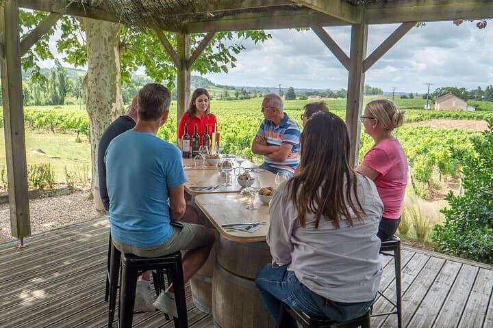 Tour di un giorno a Saint-Émilion: visita al villaggio, Châteaux e pranzo — foto 2